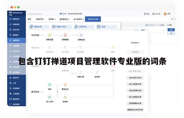 包含钉钉禅道项目管理软件专业版的词条