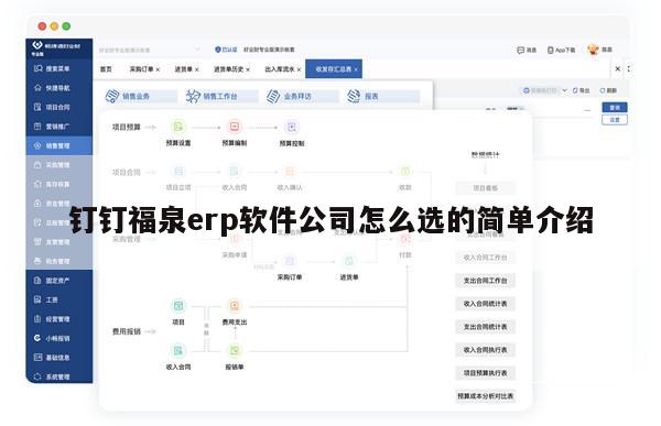 钉钉福泉erp软件公司怎么选的简单介绍