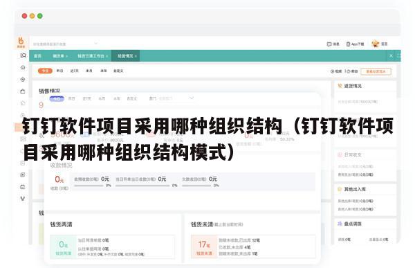 钉钉软件项目采用哪种组织结构（钉钉软件项目采用哪种组织结构模式）