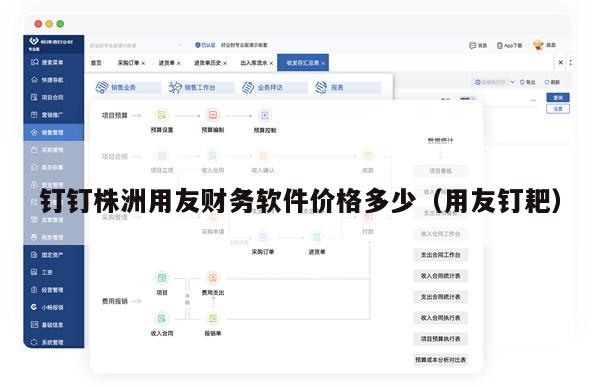 钉钉株洲用友财务软件价格多少（用友钉耙）
