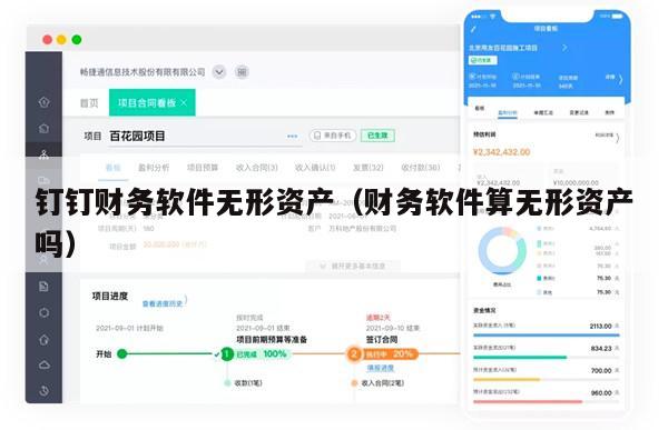 钉钉财务软件无形资产（财务软件算无形资产吗）