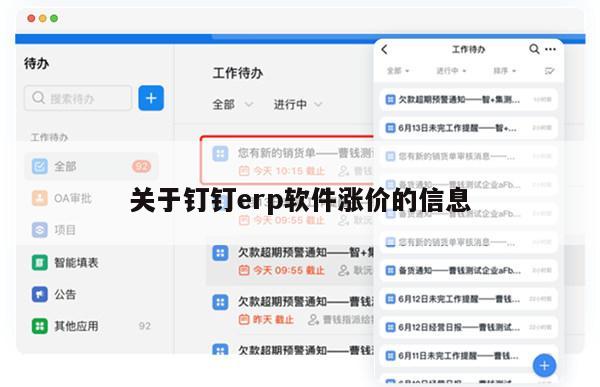 关于钉钉erp软件涨价的信息