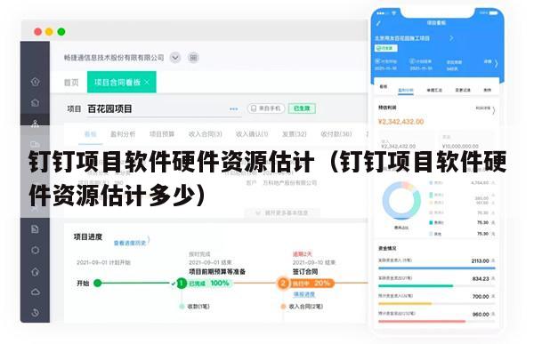 钉钉项目软件硬件资源估计（钉钉项目软件硬件资源估计多少）