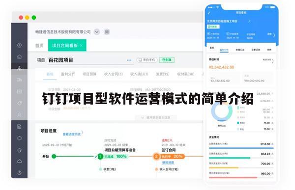 钉钉项目型软件运营模式的简单介绍