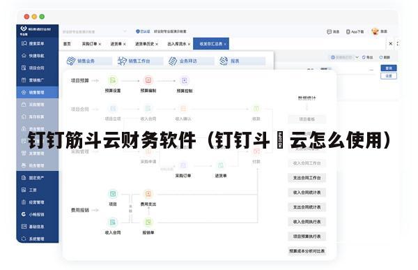 钉钉筋斗云财务软件（钉钉斗栱云怎么使用）