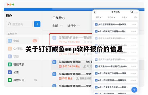 关于钉钉咸鱼erp软件报价的信息