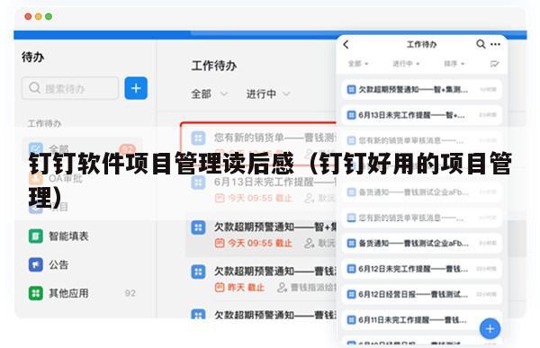 钉钉软件项目管理读后感（钉钉好用的项目管理）