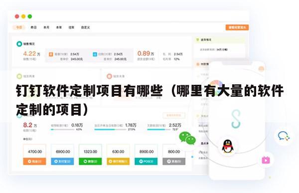 钉钉软件定制项目有哪些（哪里有大量的软件定制的项目）