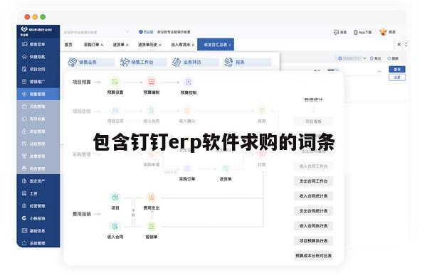 包含钉钉erp软件求购的词条