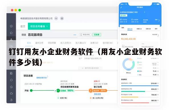 钉钉用友小企业财务软件（用友小企业财务软件多少钱）