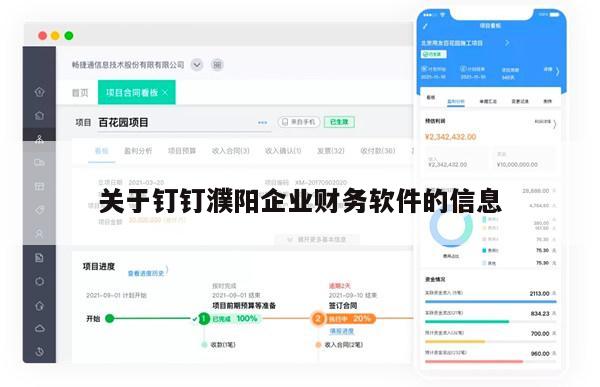 关于钉钉濮阳企业财务软件的信息