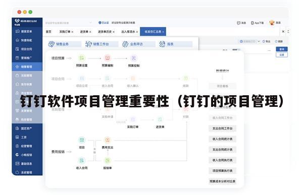 钉钉软件项目管理重要性（钉钉的项目管理）