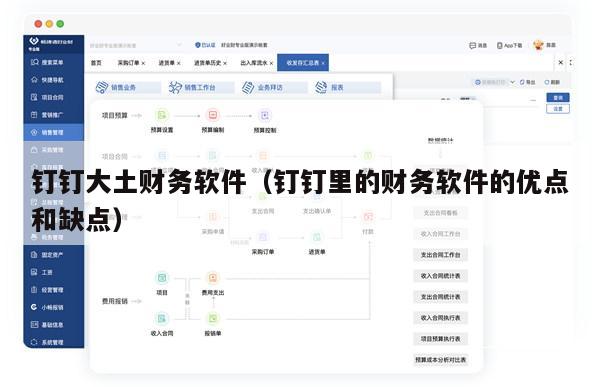 钉钉大土财务软件（钉钉里的财务软件的优点和缺点）