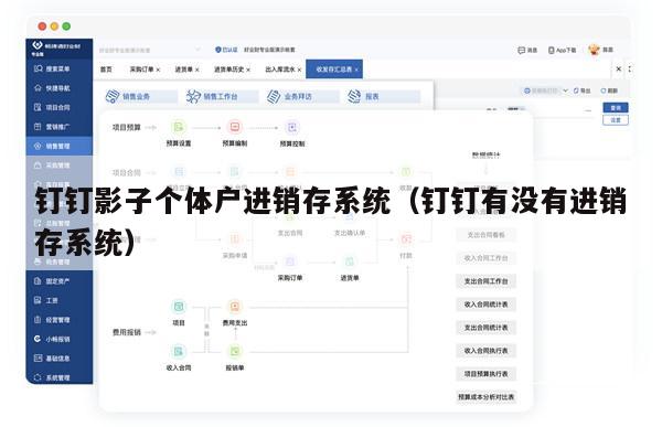 钉钉影子个体户进销存系统（钉钉有没有进销存系统）