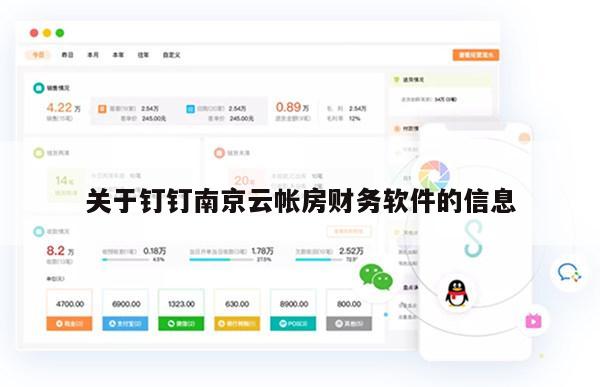 关于钉钉南京云帐房财务软件的信息