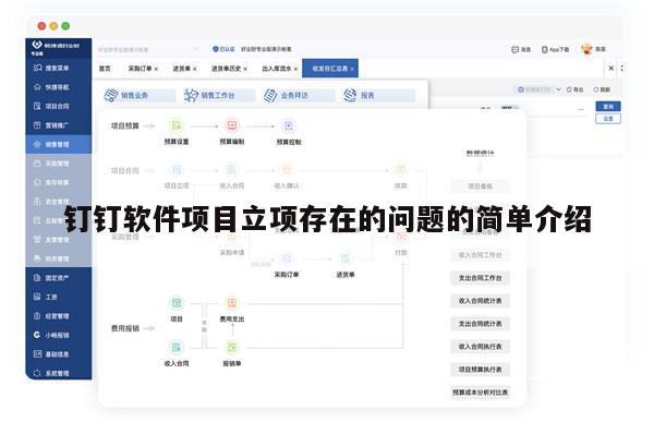 钉钉软件项目立项存在的问题的简单介绍