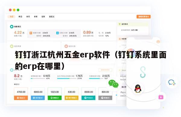 钉钉浙江杭州五金erp软件（钉钉系统里面的erp在哪里）
