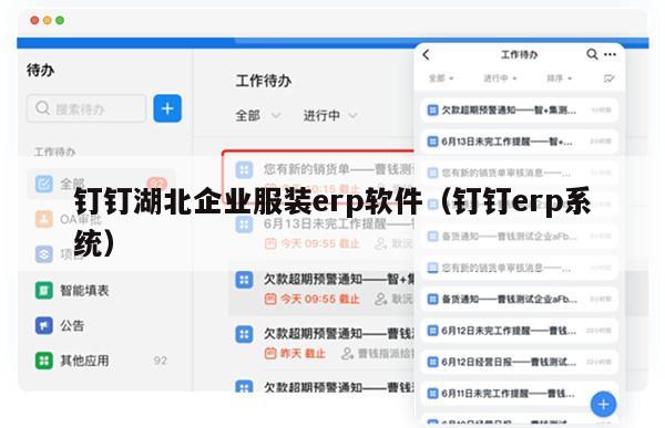 钉钉湖北企业服装erp软件（钉钉erp系统）