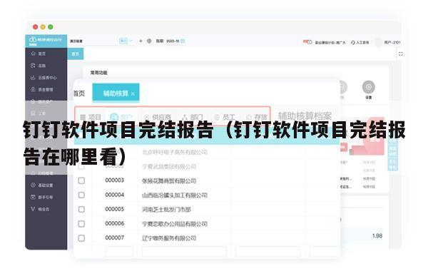 钉钉软件项目完结报告（钉钉软件项目完结报告在哪里看）