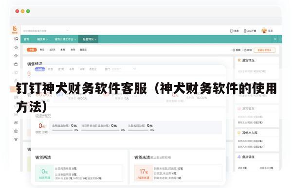 钉钉神犬财务软件客服（神犬财务软件的使用方法）