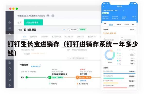 钉钉生长宝进销存（钉钉进销存系统一年多少钱）