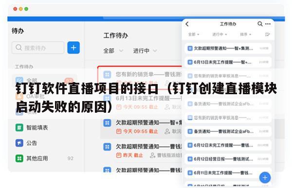 钉钉软件直播项目的接口（钉钉创建直播模块启动失败的原因）