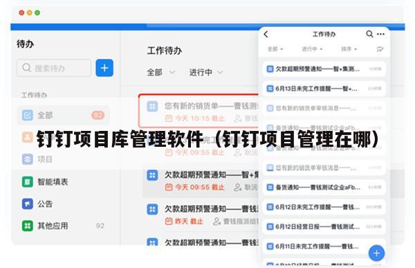 钉钉项目库管理软件（钉钉项目管理在哪）