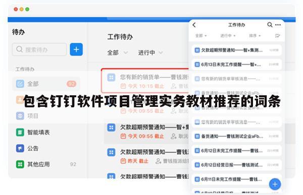 包含钉钉软件项目管理实务教材推荐的词条