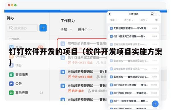 钉钉软件开发的项目（软件开发项目实施方案）