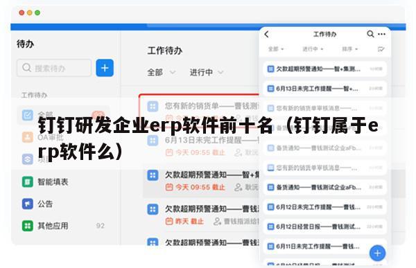 钉钉研发企业erp软件前十名（钉钉属于erp软件么）