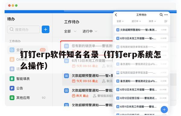 钉钉erp软件知名名录（钉钉erp系统怎么操作）