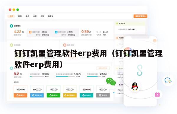 钉钉凯里管理软件erp费用（钉钉凯里管理软件erp费用）