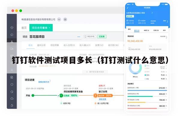 钉钉软件测试项目多长（钉钉测试什么意思）