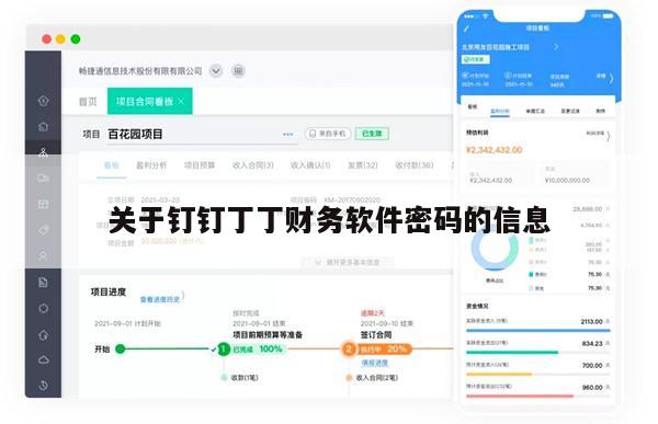 关于钉钉丁丁财务软件密码的信息