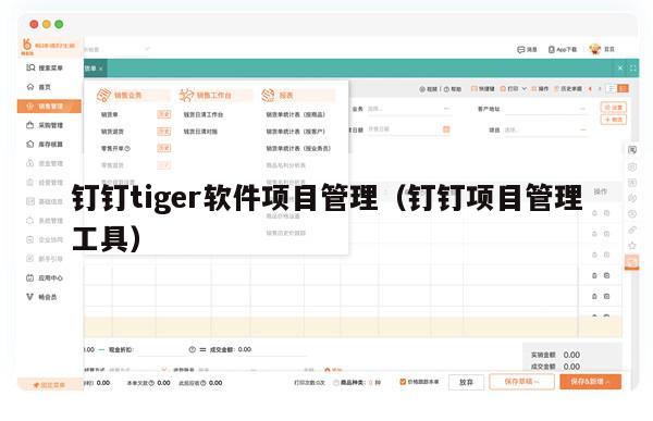 钉钉tiger软件项目管理（钉钉项目管理工具）