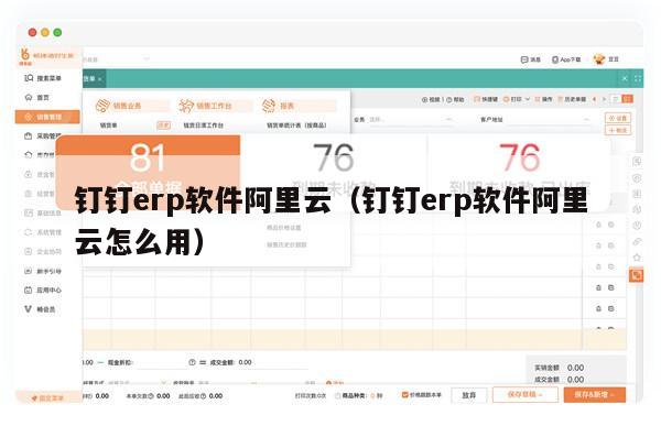 钉钉erp软件阿里云（钉钉erp软件阿里云怎么用）