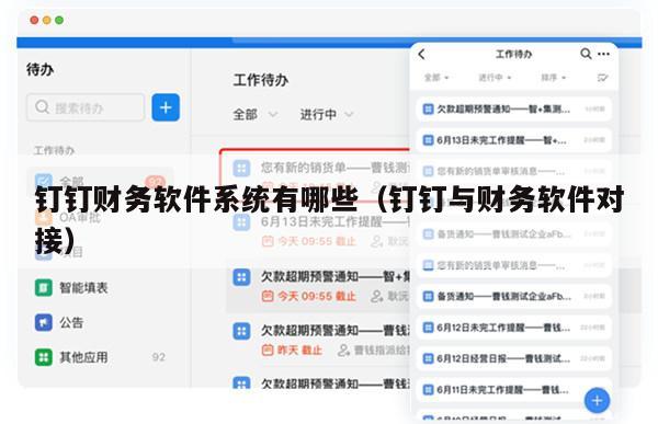 钉钉财务软件系统有哪些（钉钉与财务软件对接）