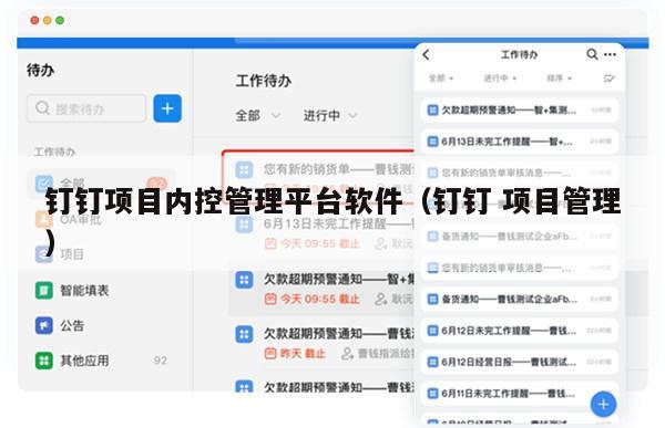 钉钉项目内控管理平台软件（钉钉 项目管理）