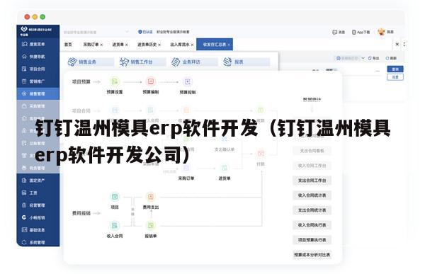 钉钉温州模具erp软件开发（钉钉温州模具erp软件开发公司）