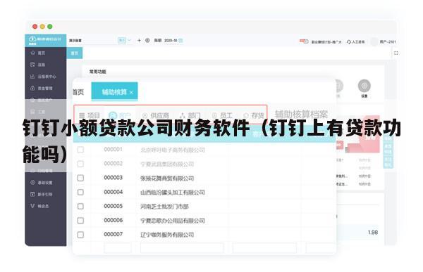 钉钉小额贷款公司财务软件（钉钉上有贷款功能吗）