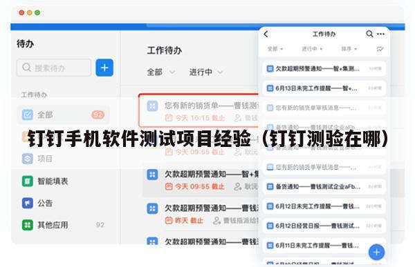 钉钉手机软件测试项目经验（钉钉测验在哪）