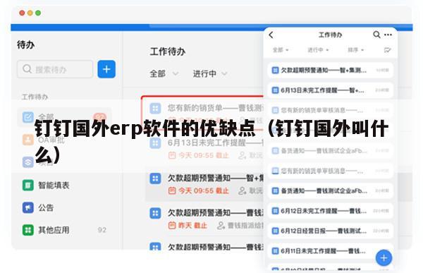 钉钉国外erp软件的优缺点（钉钉国外叫什么）