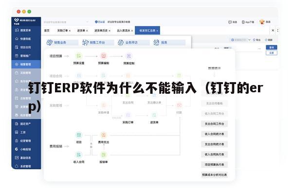 钉钉ERP软件为什么不能输入（钉钉的erp）