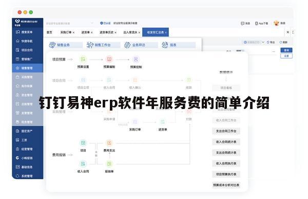 钉钉易神erp软件年服务费的简单介绍