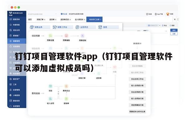 钉钉项目管理软件app（钉钉项目管理软件可以添加虚拟成员吗）