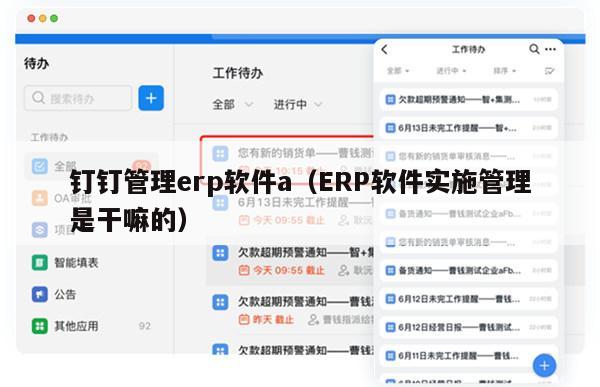 钉钉管理erp软件a（ERP软件实施管理是干嘛的）