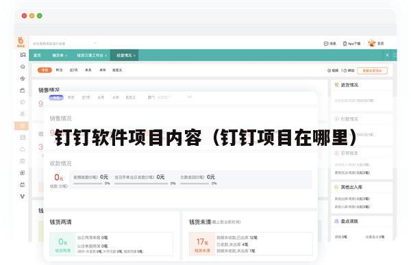 钉钉软件项目内容（钉钉项目在哪里）