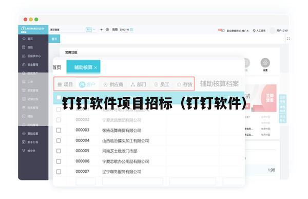 钉钉软件项目招标（钉钉软件）