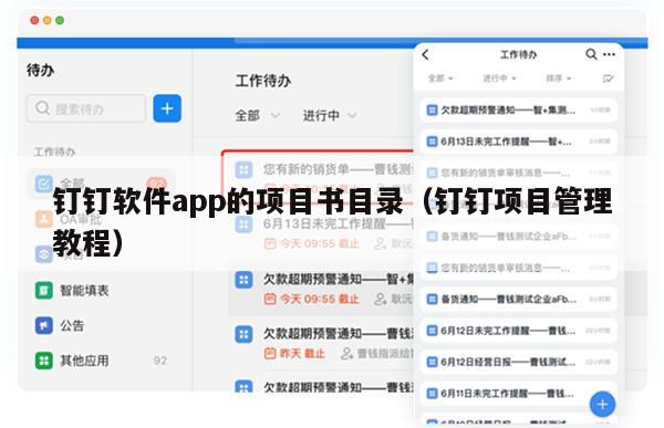 钉钉软件app的项目书目录（钉钉项目管理教程）