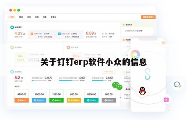 关于钉钉erp软件小众的信息